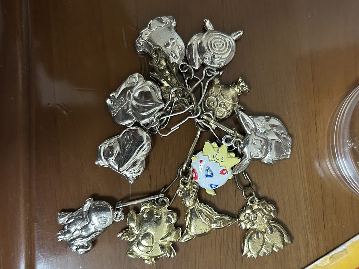 ポケモンの金属製キーホルダーがいくつもつながったもの